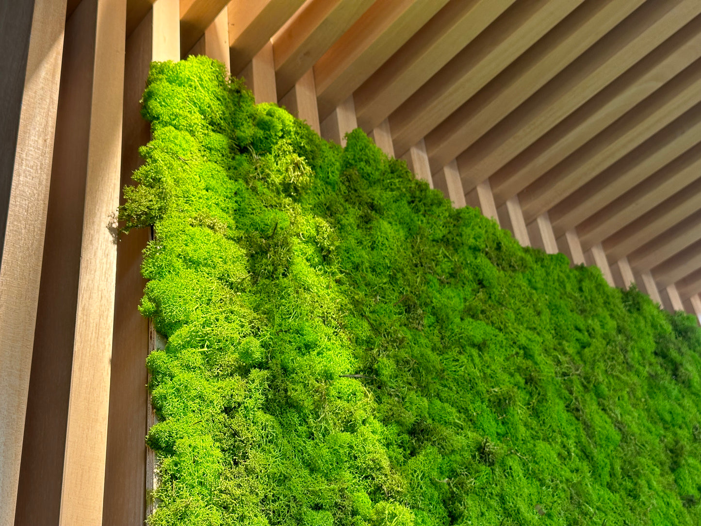 Giardino Verticale, Pannello da 1 metro quadrato in muschio e lichene nordico.