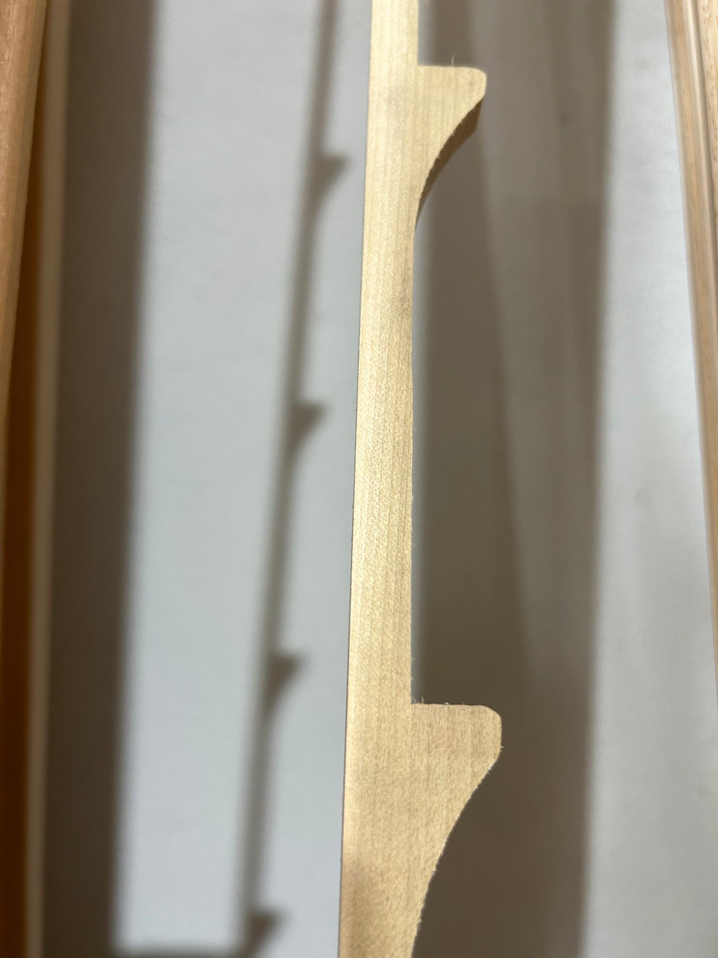 Scaletta/Cremagliera in Toulipier