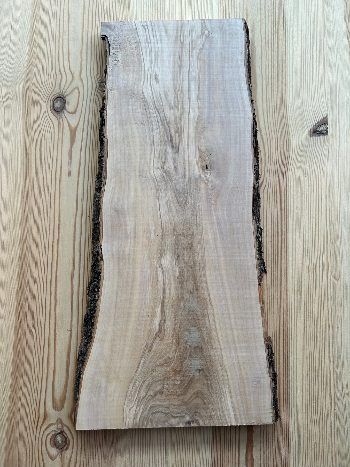 Tavola in legno di ulivo con corteccia Made in Blasi - Spessore 20/25 mm