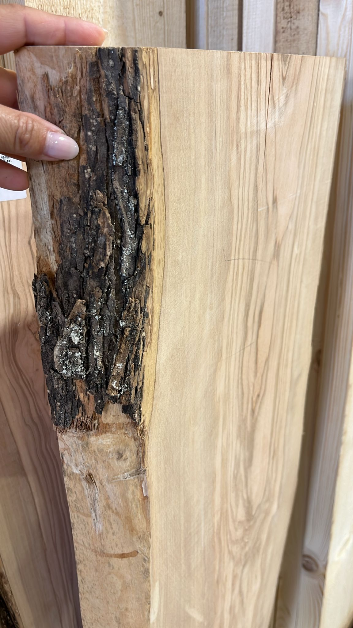 Tavola in legno d'olivo con corteccia