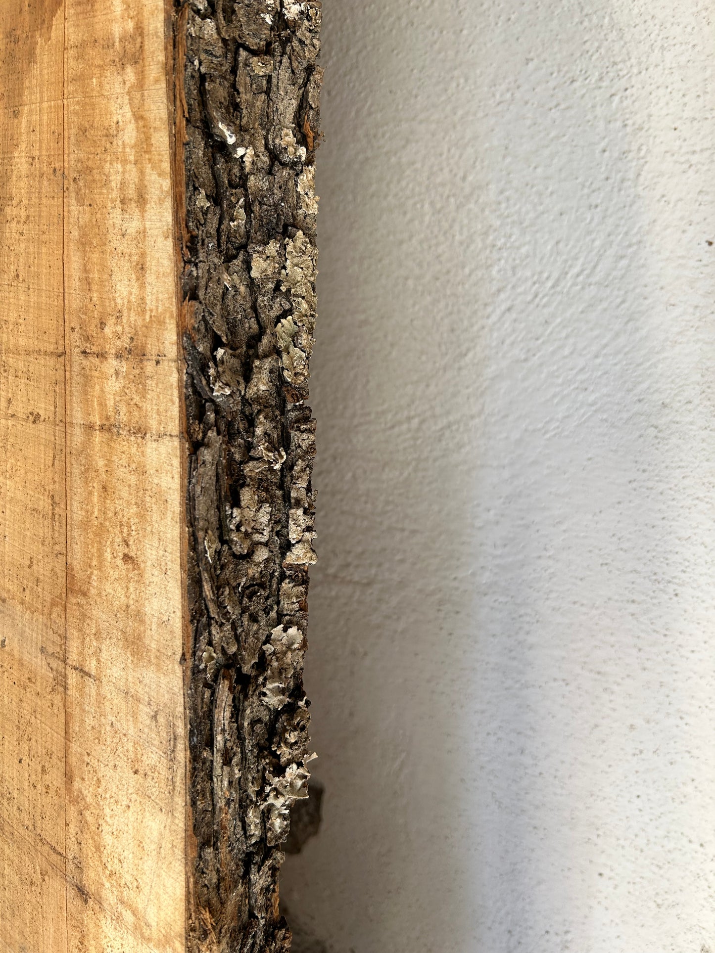 Tavola in legno di ulivo grezzo