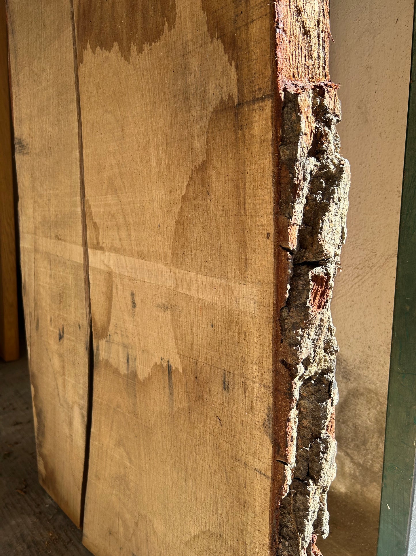 Tavola di Rovere grezzo