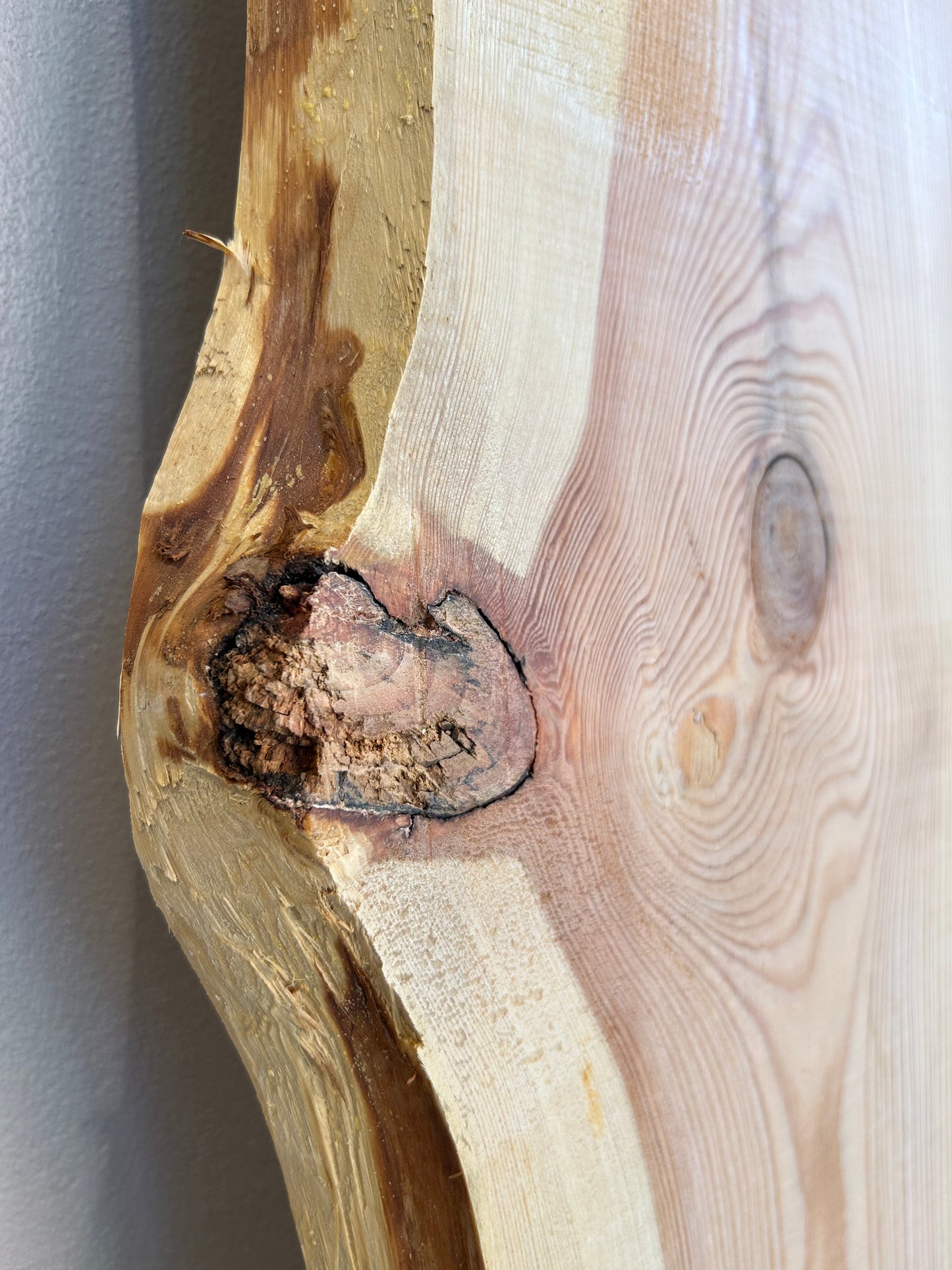 Tavola in abete con corteccia