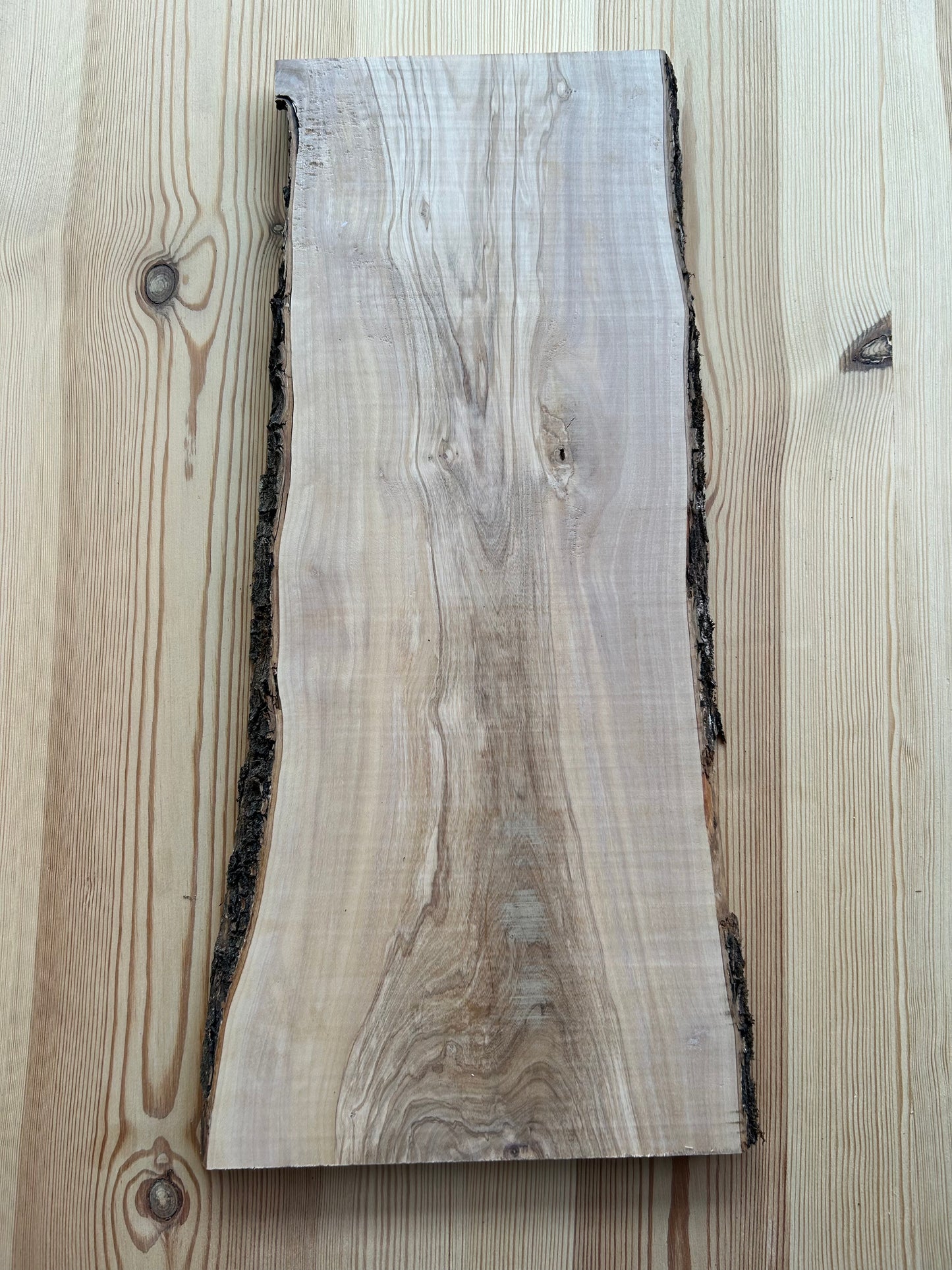 Tagliere Small in legno di ulivo con corteccia Made in Blasi - Spessore 20/25 mm