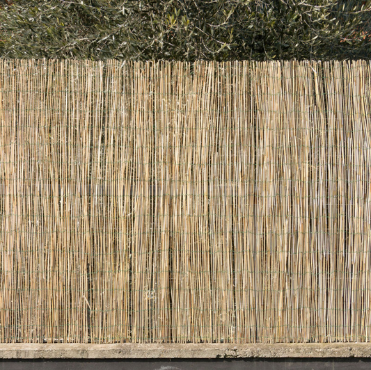 Arelle ombreggianti bamboo