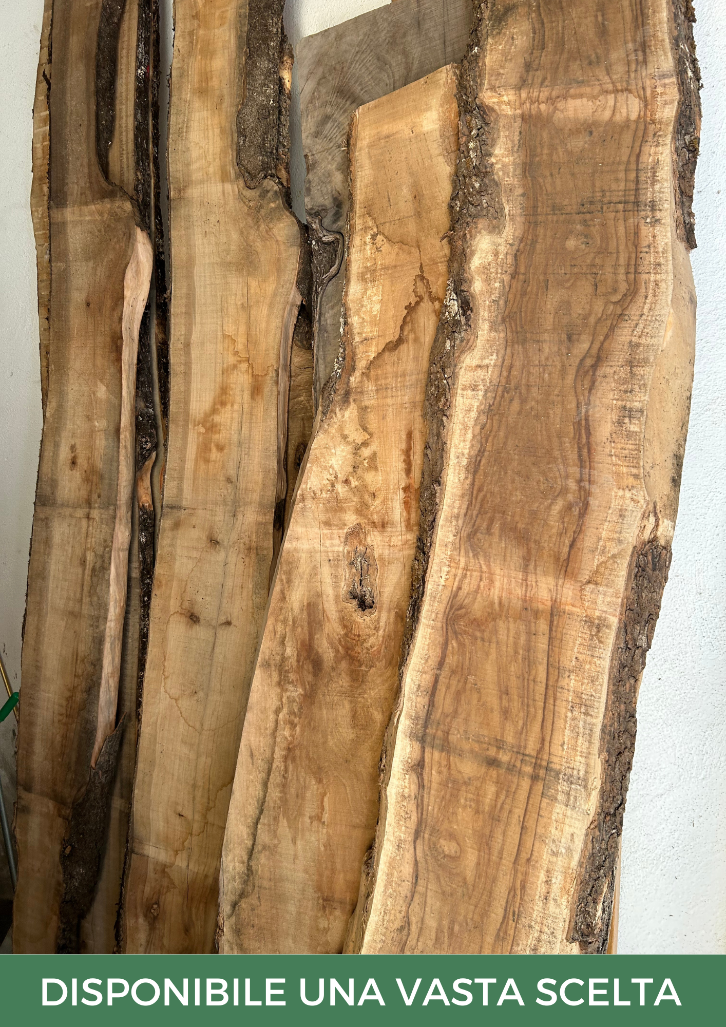 Tavola in legno d'ulivo grezzo